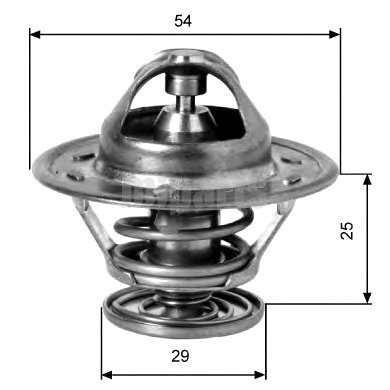 TERMOSTAT MASTER 2.5 D-2.5 TD-2.8 DTI 76C (V2057) 5000816924-