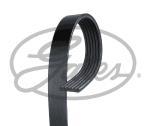 KANALLI KAYIS MGN 1.6-1.8-2.0 16V 00=> BERLINGO 9 7700107175-7700101261-57