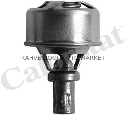 TERMOSTAT R12  75C  (V1324)