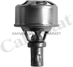 TERMOSTAT R12  75C  (V1324)